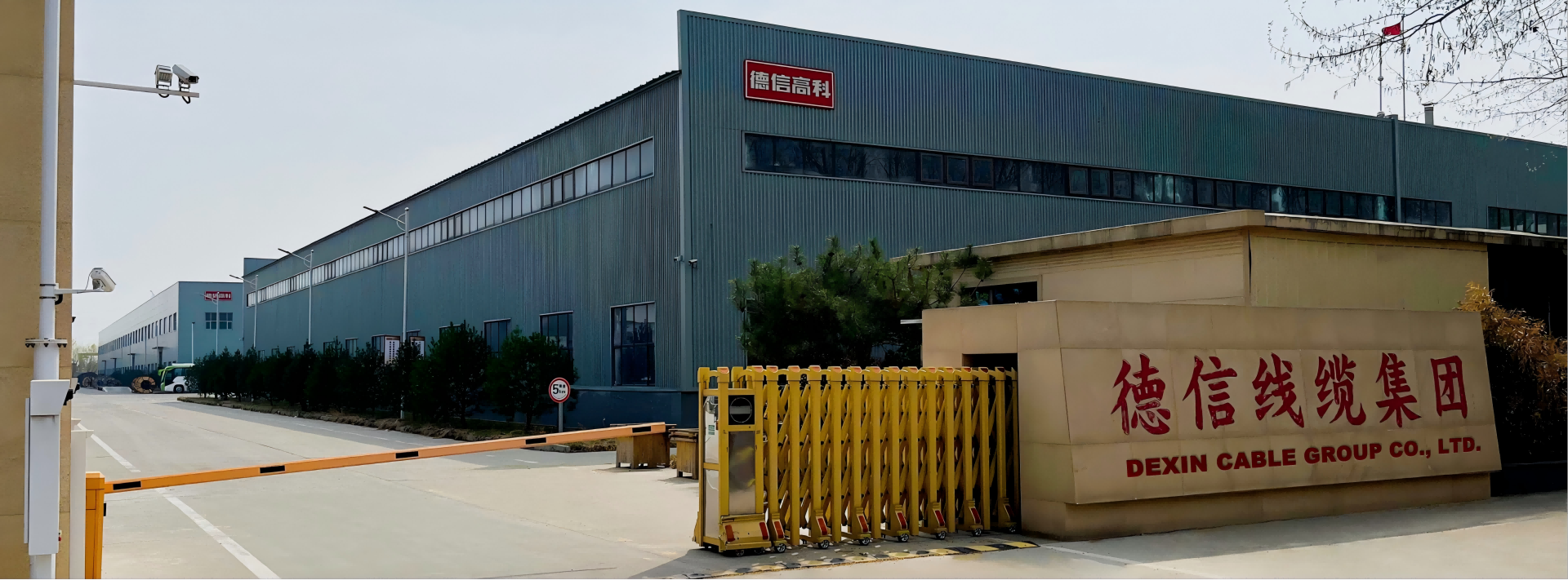 Dexin Cable Group Co., Ltd.